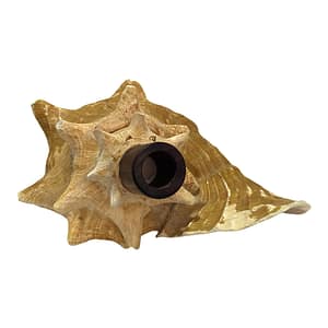 caracola